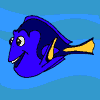 Dorie Windowcolor