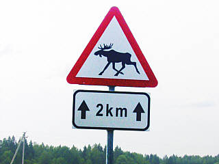 Straßenschild: Auchtung Elch