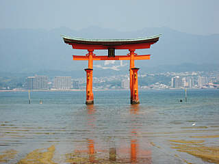 Torii am Itsukushima-Schrein
