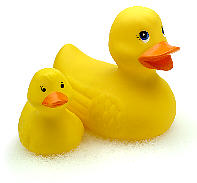 gelbe badeenten quitscheenten